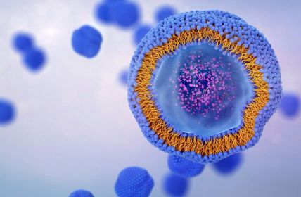 BMWK fördert BASE-Lipid-Initiative mit 13 Millionen Euro für (Foto: AdobeStock - TuMeggy - 839730862)